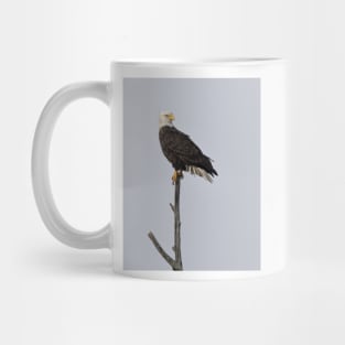 Bald Eagle Mug